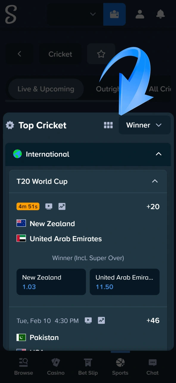 Navigate through the top cricket section to select match winners and view current odds at Stake.