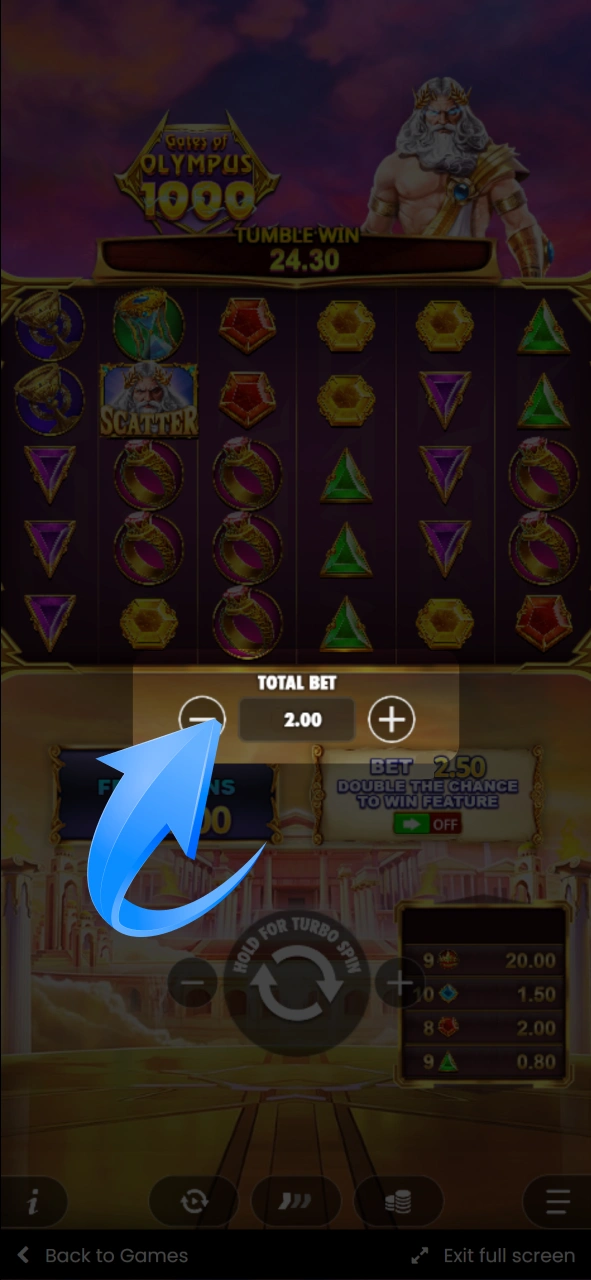 Use the plus and minus buttons to easily adjust your total bet amount before spinning at Stake.