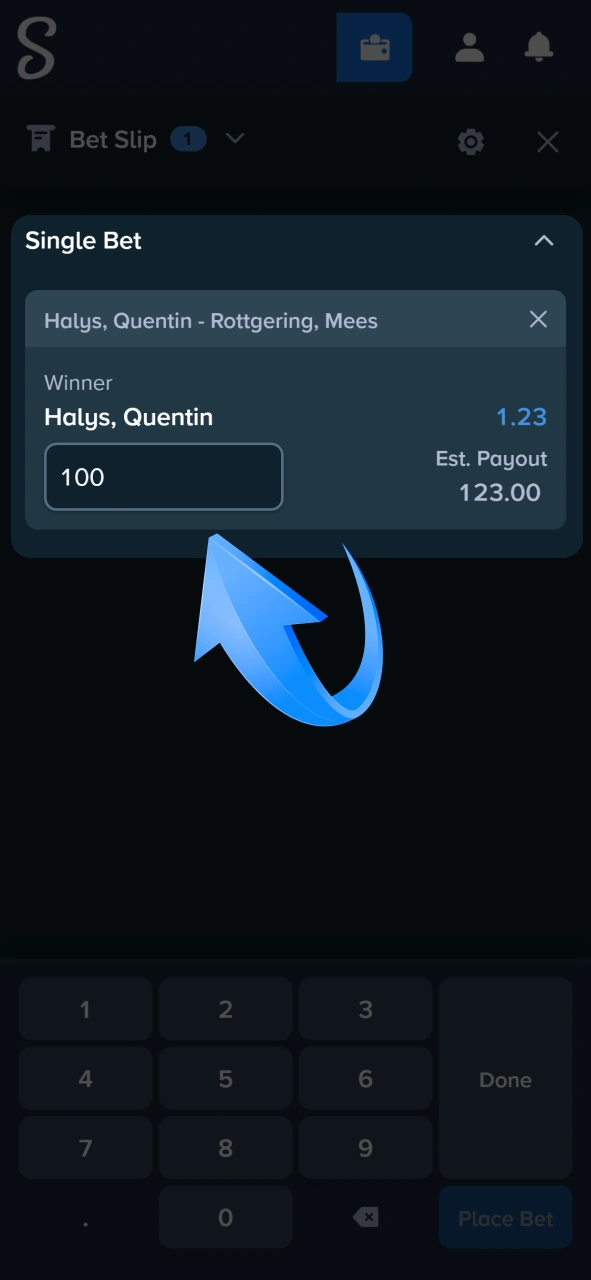 Input your desired wager amount into the bet slip to see the potential payout at Stake.
