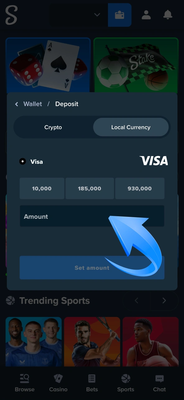 Use convenient payment methods like Visa to instantly add funds to your Stake sports betting wallet.
