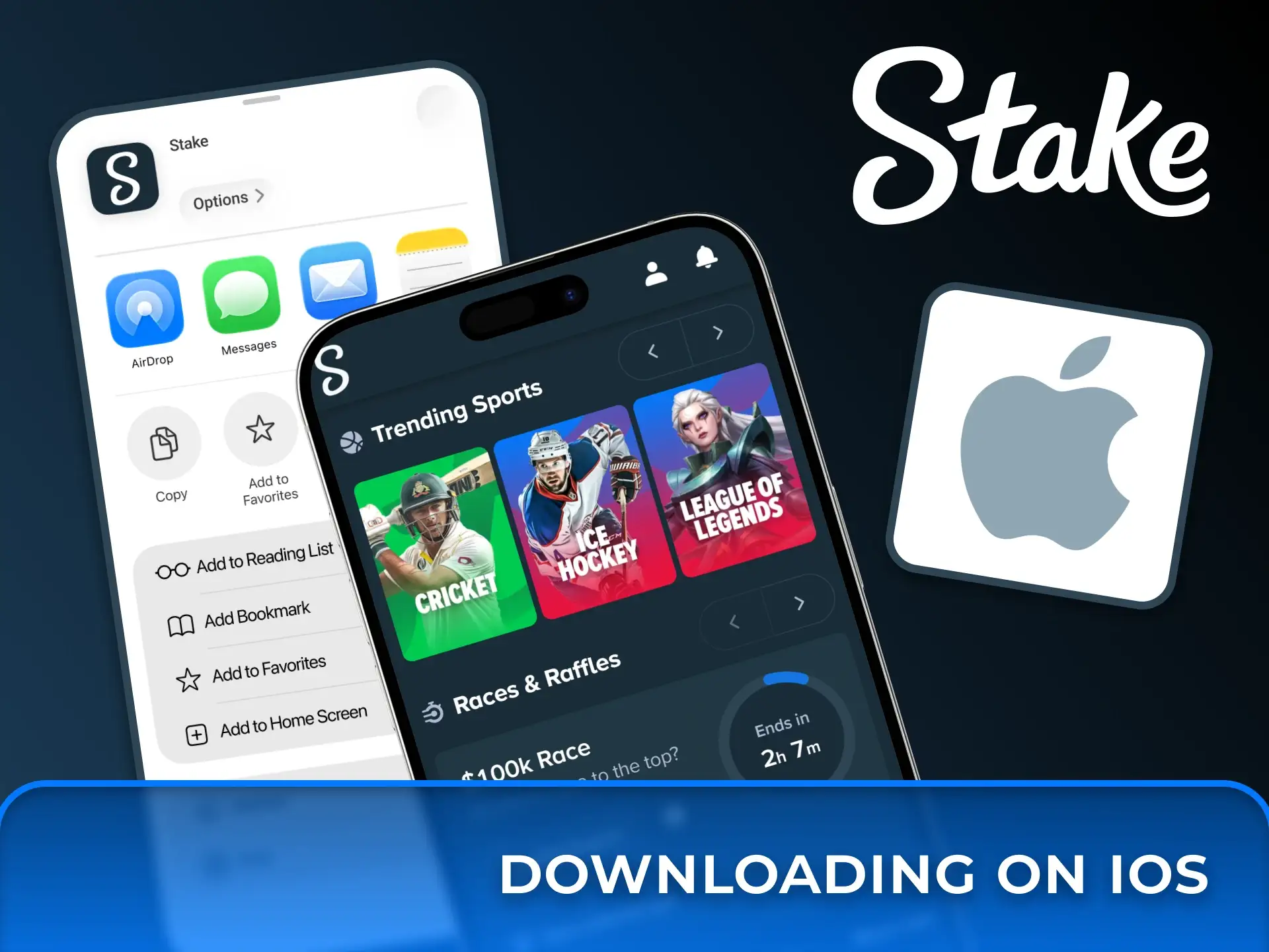 Add the Stake platform to your home screen for quick access on iOS devices.